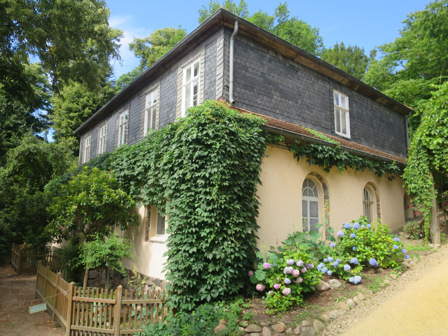 Grunewald 14